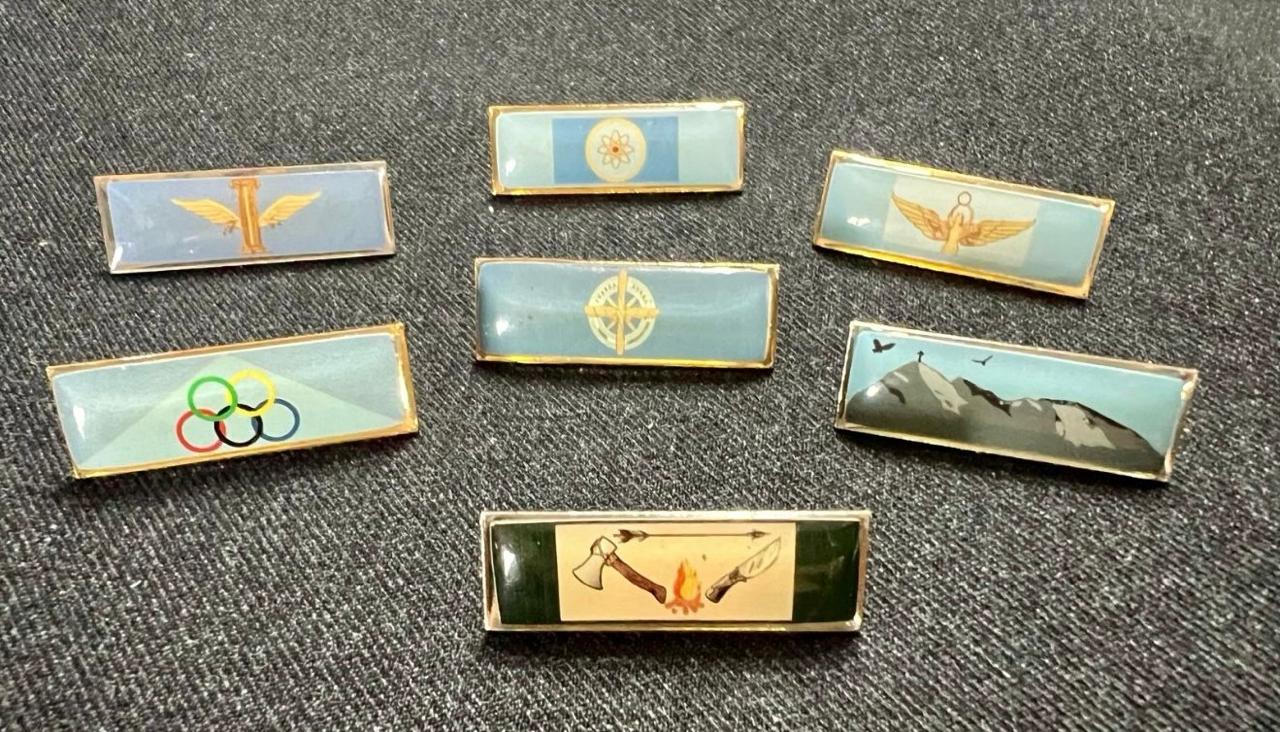 PINS Y DISTINCIONES – CADETES DEL LICEO AERONÁUTICO MILITAR