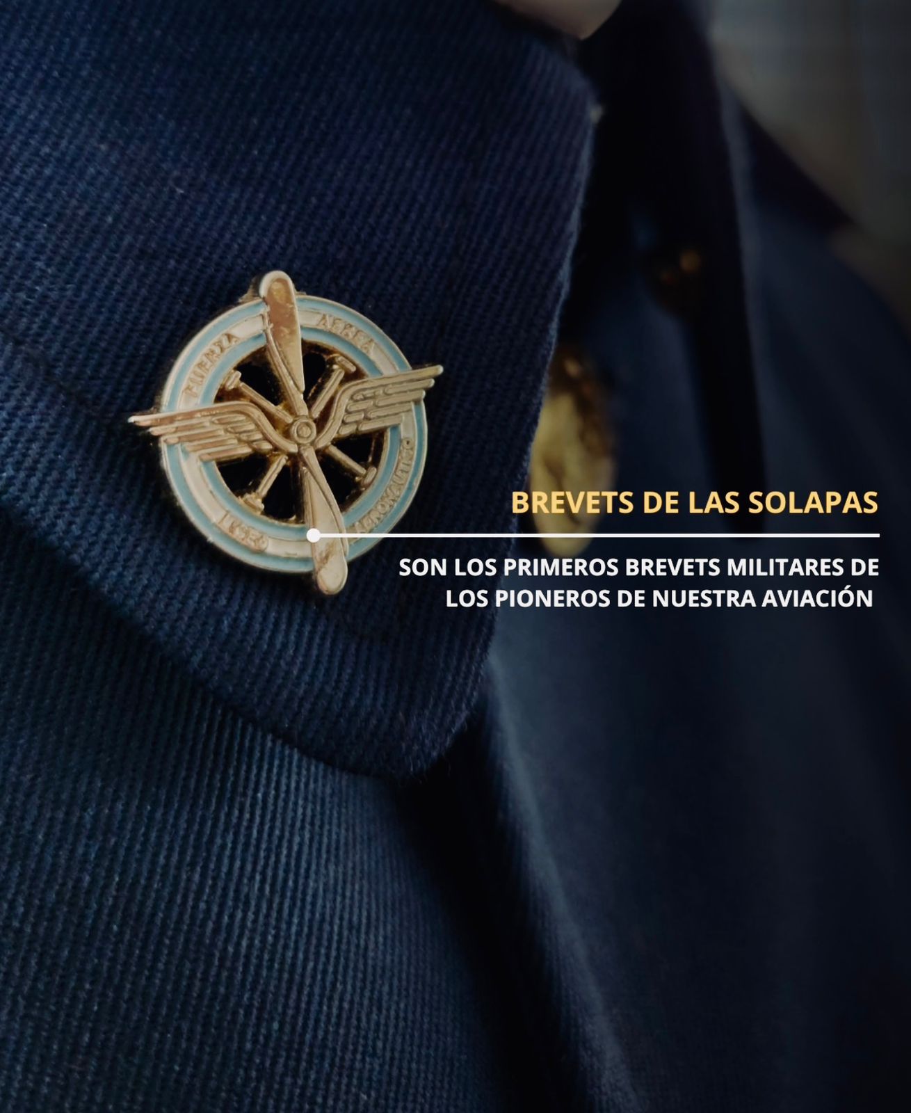 Brevet Distintivo Liceo Aeronautico Militar Cadetes y ARE
