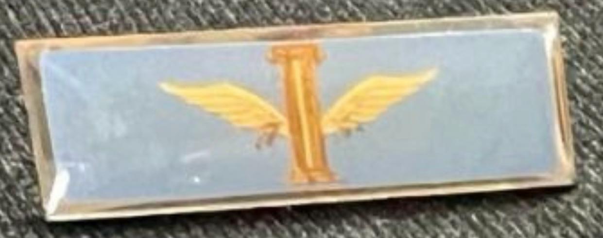 PINS Y DISTINCIONES – CADETES DEL LICEO AERONÁUTICO MILITAR