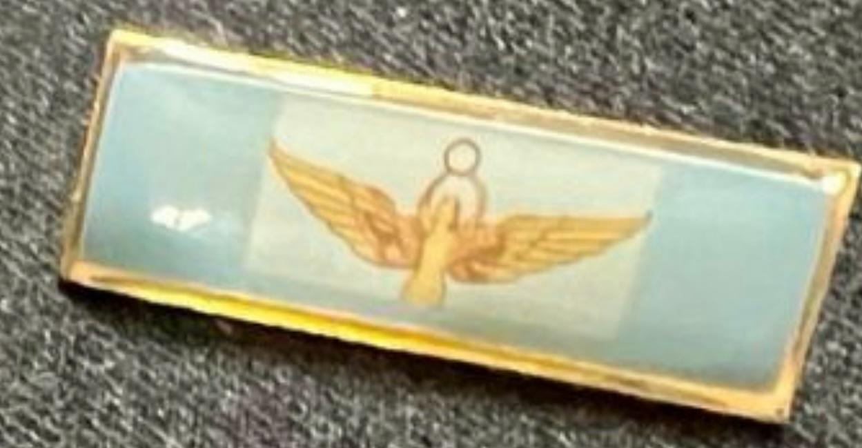 PINS Y DISTINCIONES – CADETES DEL LICEO AERONÁUTICO MILITAR