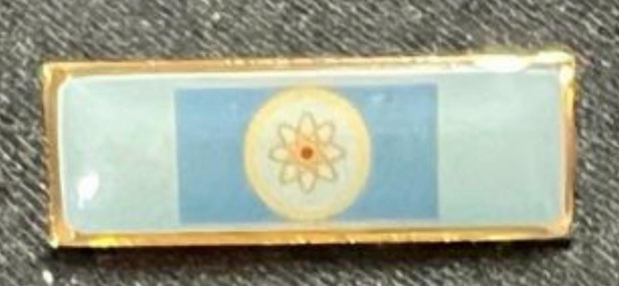 PINS Y DISTINCIONES – CADETES DEL LICEO AERONÁUTICO MILITAR