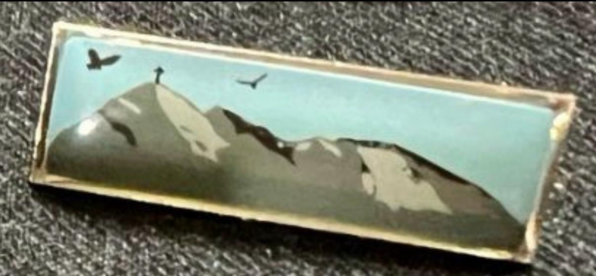 PINS Y DISTINCIONES – CADETES DEL LICEO AERONÁUTICO MILITAR