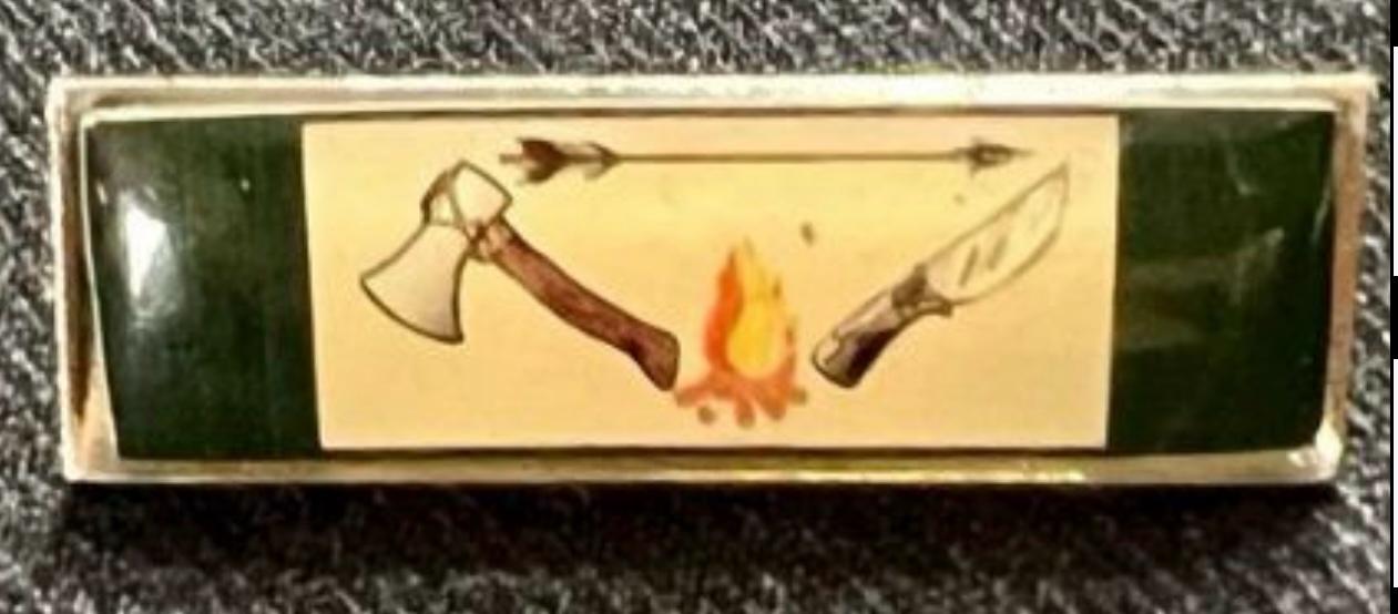 PINS Y DISTINCIONES – CADETES DEL LICEO AERONÁUTICO MILITAR