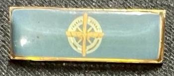 PINS Y DISTINCIONES – CADETES DEL LICEO AERONÁUTICO MILITAR