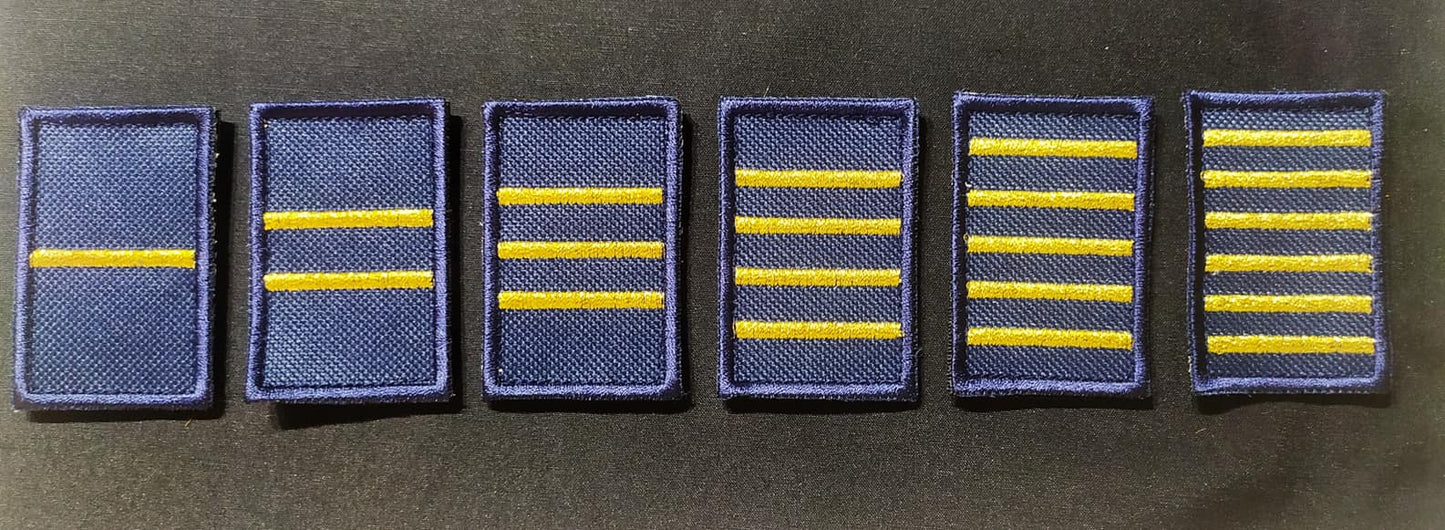 Jerarquia de Cadete Liceo Aeronautico Militar