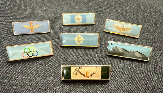 PINS Y DISTINCIONES  – CADETES DEL  LICEO AERONÁUTICO MILITAR
