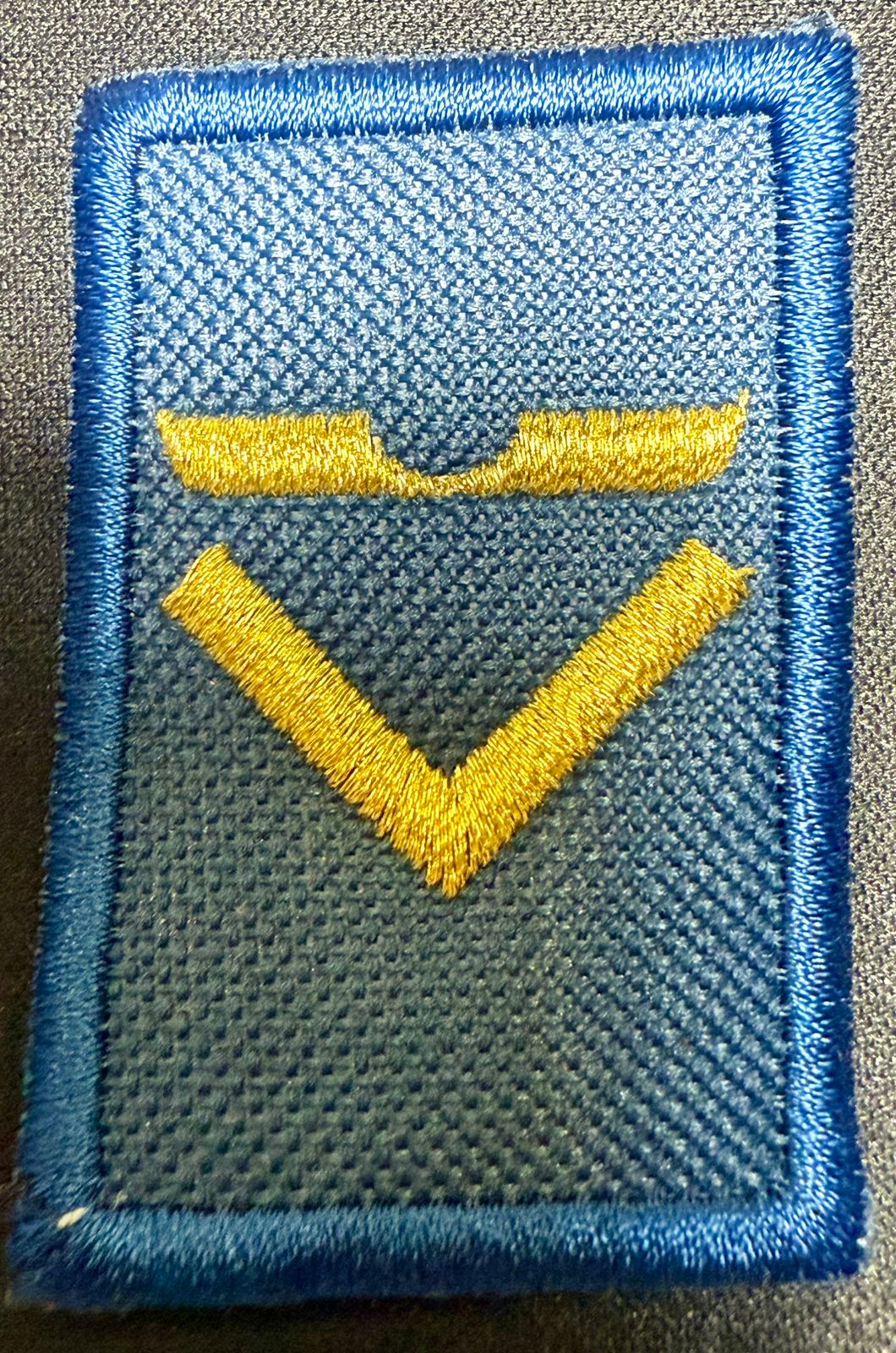 Jerarquia de Cadete Liceo Aeronautico Militar