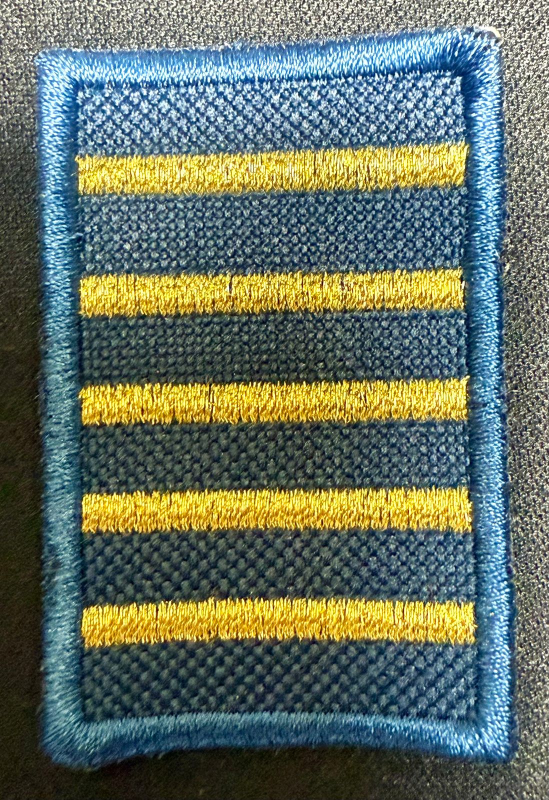 Jerarquia de Cadete Liceo Aeronautico Militar