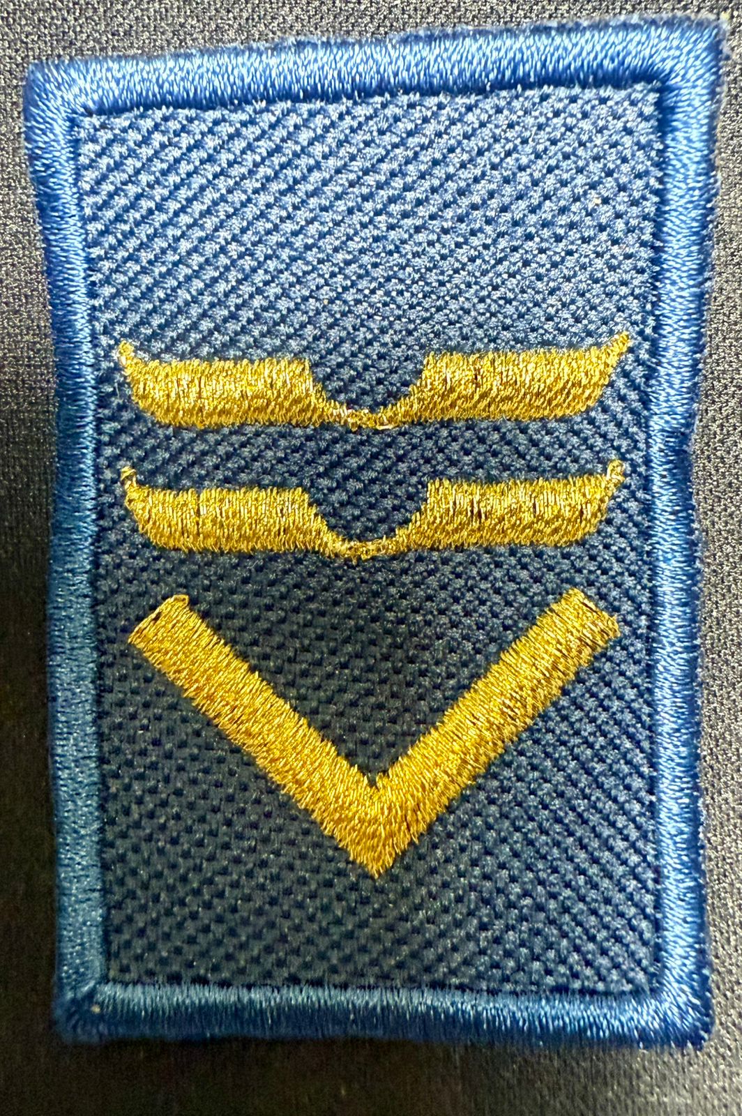 Jerarquia de Cadete Liceo Aeronautico Militar