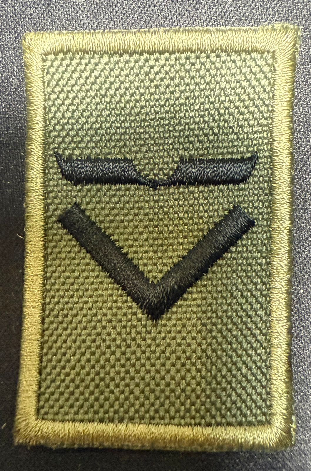 Jerarquia de Cadete Liceo Aeronautico Militar