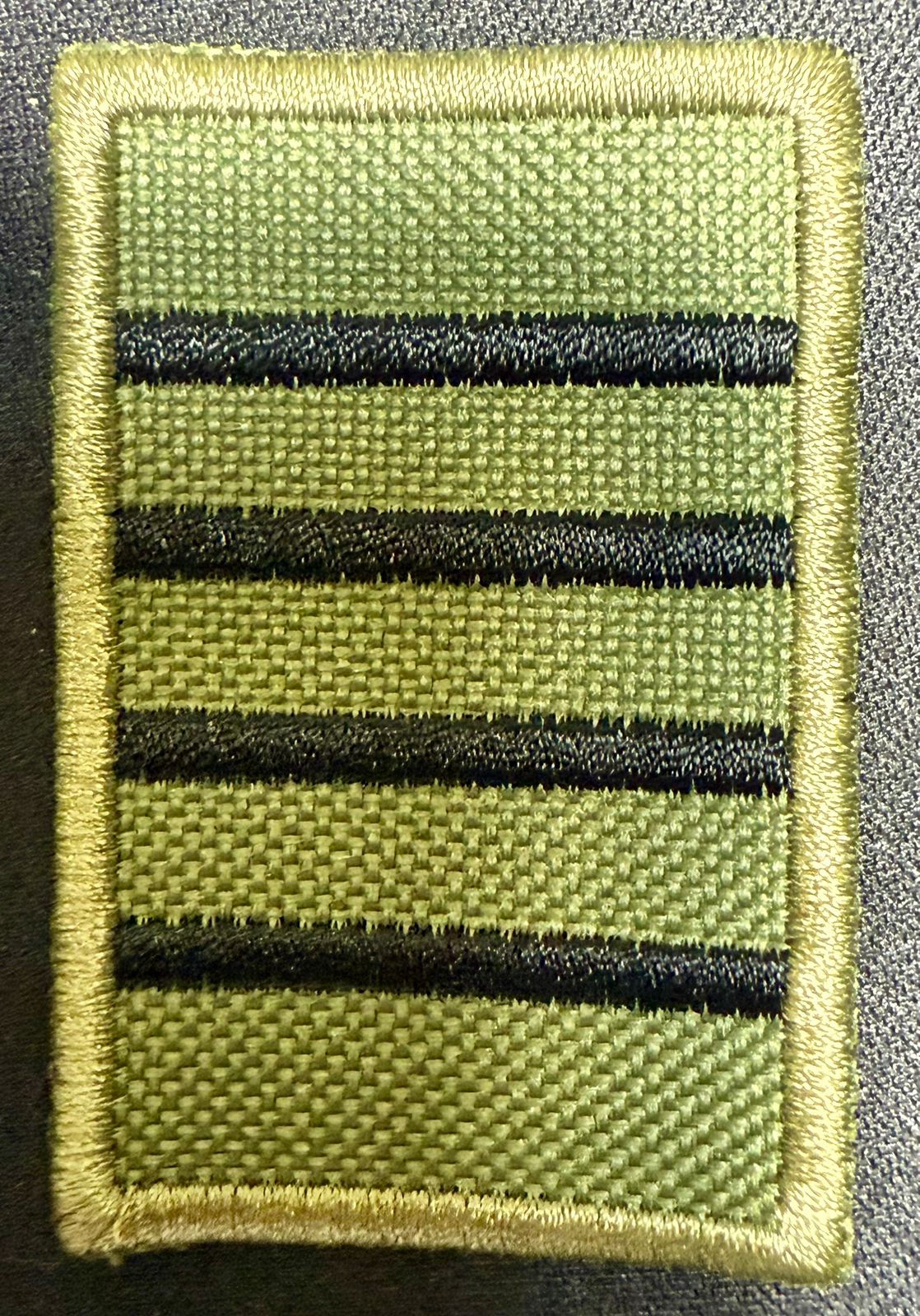 Jerarquia de Cadete Liceo Aeronautico Militar
