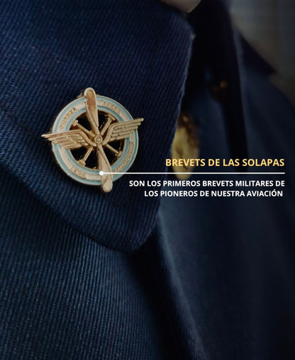 Brevet Distintivo Liceo Aeronautico Militar Cadetes y ARE