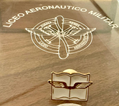 Reconocimiento al Mérito Académico y Aeronáutico para Cadetes y ARE – LAM